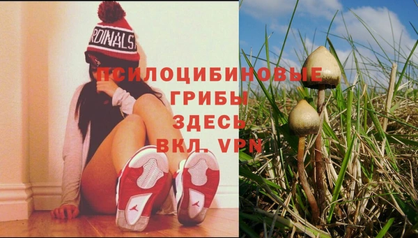 соль курить ск Абинск