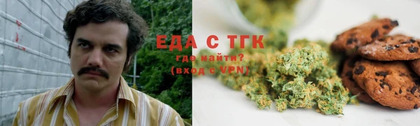тгк Новозыбков