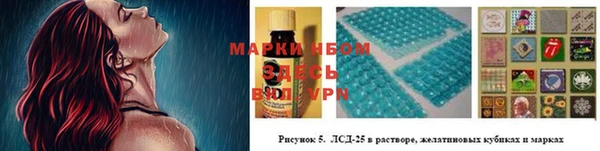 ГАЛЛЮЦИНОГЕННЫЕ ГРИБЫ Иннополис