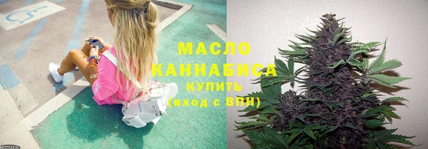 тгк Новозыбков
