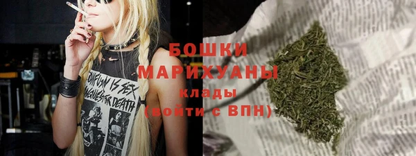 тгк Новозыбков