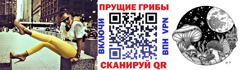 как найти закладки  Остров  Галлюциногенные грибы Cubensis 